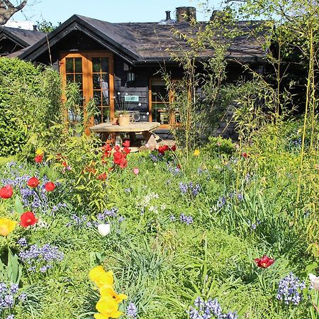 Bluebell Cottage - 27635 Darenth Kültér fotó